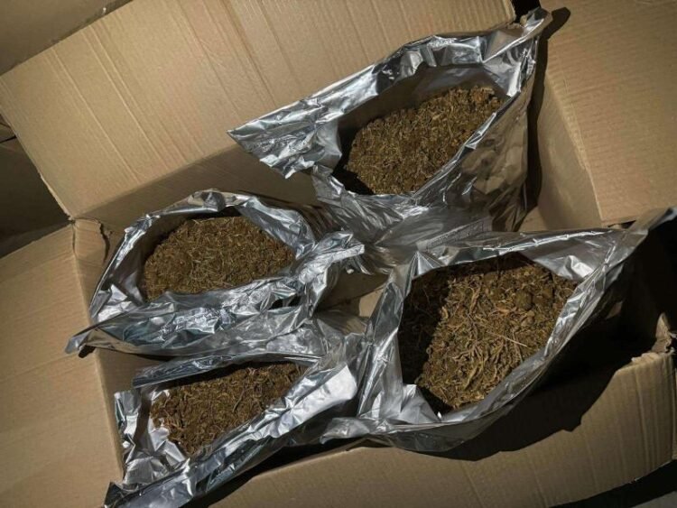 Seven persons deprived of liberty in Skopje and Gostivar who were found with drugs