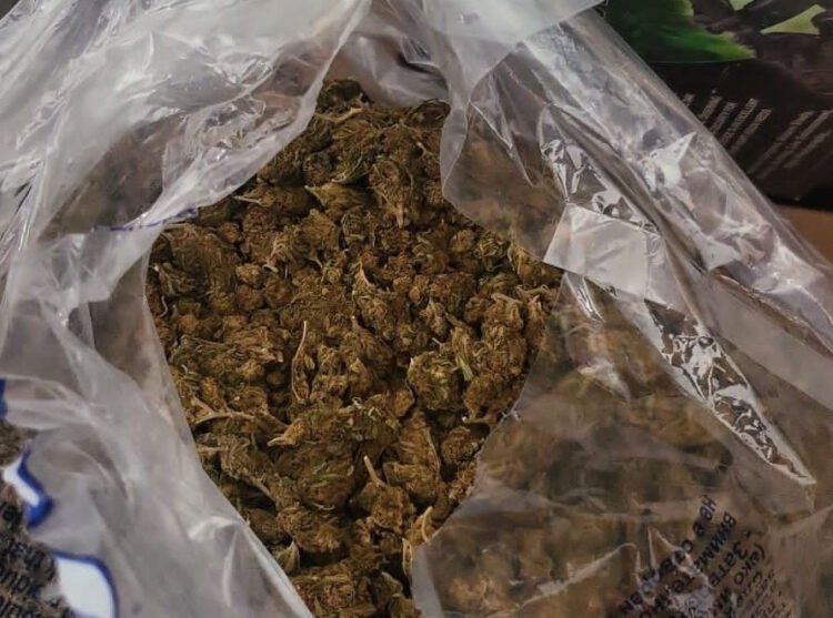 More than 17 kilograms of marijuana are seized in Kaçanik