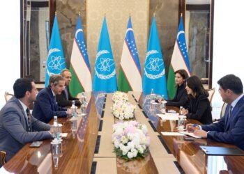 Uzbekistan, IAEA align nuclear infrastructure safety standards as Jizzakh NPP construction begins
