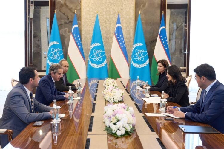 Uzbekistan, IAEA align nuclear infrastructure safety standards as Jizzakh NPP construction begins
