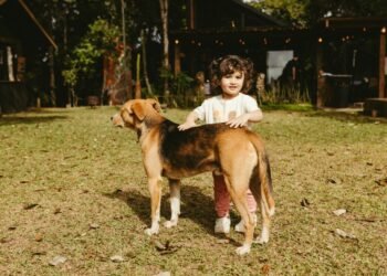 Criminal case after a 4-year-old boy was mauled by a dog on the outskirts of the village. What the authorities in Buzau say
