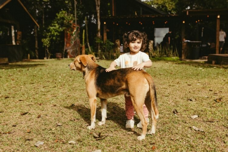 Criminal case after a 4-year-old boy was mauled by a dog on the outskirts of the village. What the authorities in Buzau say