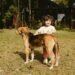 Criminal case after a 4-year-old boy was mauled by a dog on the outskirts of the village. What the authorities in Buzau say