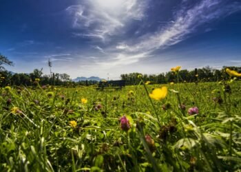 Summer comes earlier in Romania this week. When will the thermometers reach 33 degrees for the first time in 2026