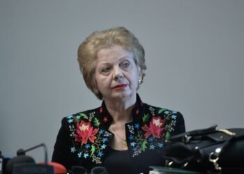 Former minister Doina Pană says she was poisoned with mercury because she tried to stop the “deforestation”