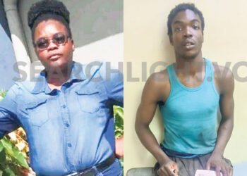 Mother blames system for destroying her son’s mental health