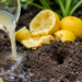Did the ants move in among the vegetables? Forget about chemicals in a raised bed – these tricks will make them go away – Garden – Garden