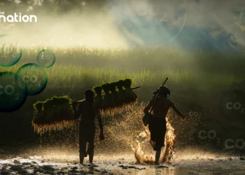 Green Revolution in the Paddy Fields: Central Thailand Launches Low-Carbon Rice Initiative
