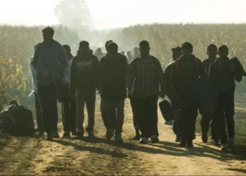 More migrants, more crime. Polish statistics fuel debate