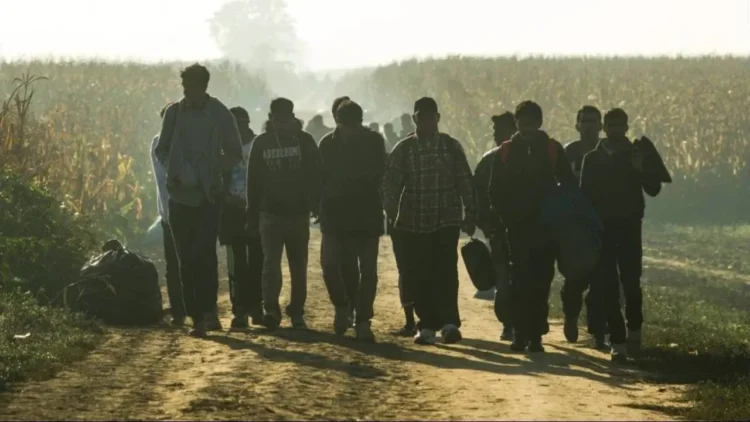 More migrants, more crime. Polish statistics fuel debate