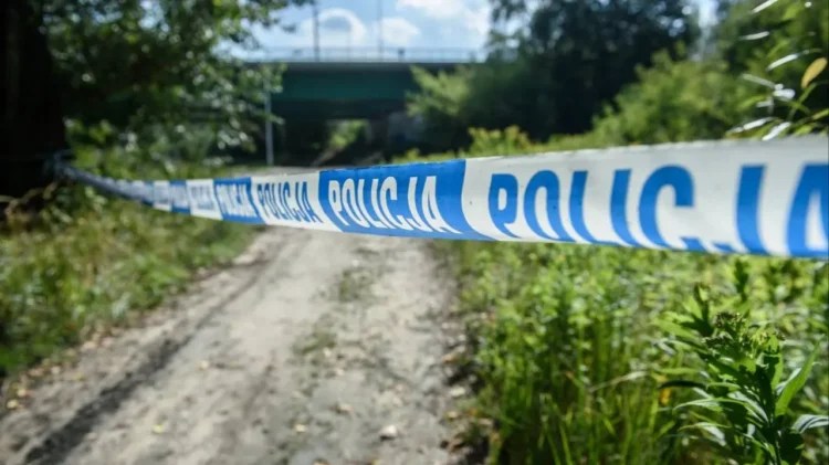 13 fetal remains found on residential estate. Grim discovery near Rzeszów