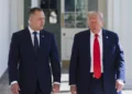 Karol Nawrocki and Donald Trump. Footage from the UFC gala is taking the internet by storm [VIDEO]