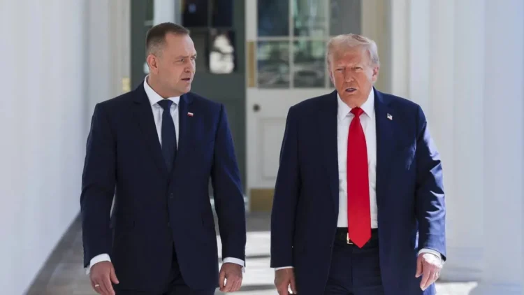 Karol Nawrocki and Donald Trump. Footage from the UFC gala is taking the internet by storm [VIDEO]