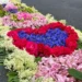 Floral carpets for Corpus Christi. This tradition has been inscribed on the UNESCO heritage list
