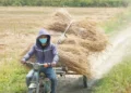 Vietnam faces El Niño-driven risks of heat, drought, strong storms
