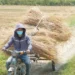Vietnam faces El Niño-driven risks of heat, drought, strong storms