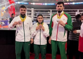 Tajik boxers in the World Boxing world ranking: who and in what positions
