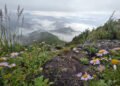Hotter summers may force more trail restrictions at national parks
