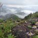 Hotter summers may force more trail restrictions at national parks