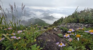 Hotter summers may force more trail restrictions at national parks