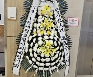 Sewol survivor dies after years of survivor’s guilt