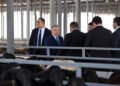 A large sheep breeding cluster is being established in Namangan