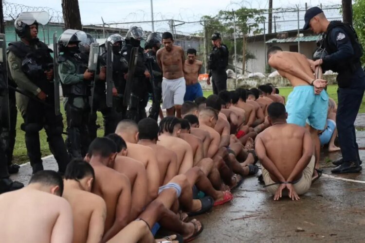 La Joyita under surveillance: 400 agents participate in operation Cerrojo and in a massive search
