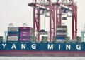AI drives exports to near record high