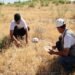 Winter pastures have begun to recover in southern Tajikistan