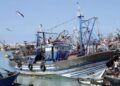 Coastal fishing: 4.39 billion dirhams generated at the end of May – Today Morocco