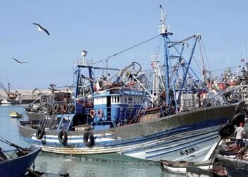 Coastal fishing: 4.39 billion dirhams generated at the end of May – Today Morocco