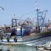 Coastal fishing: 4.39 billion dirhams generated at the end of May – Today Morocco