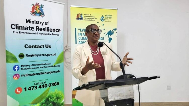Grenada hosts validation workshop for Citizen’s Guide to Climate Change Adaptation