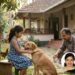 What to consider when choosing a pet for children – Pet for Children | Parenting Tips | Cool School