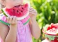 Melon Season Kicks Off with Top-Quality Domestic Fruit
