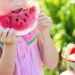 Melon Season Kicks Off with Top-Quality Domestic Fruit