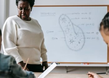 COMMENTARY: The negatives of differentiated instruction