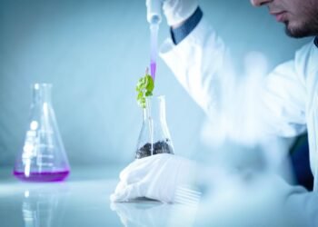 TISZA Government Paves the Way for Unlabeled GMOs on Hungarian Plates