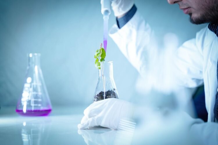 TISZA Government Paves the Way for Unlabeled GMOs on Hungarian Plates