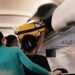 EU puts an end to hidden costs — hand luggage will be included in the price of the plane ticket