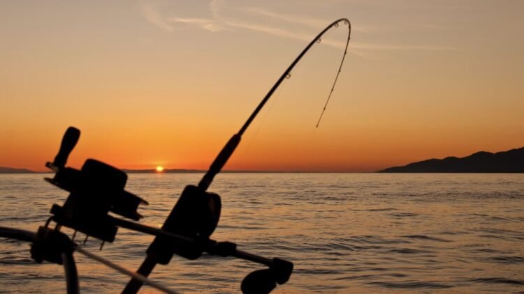 Hook, line and click: Monaco digitises shore fishing declarations – NEWS.MC