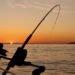 Hook, line and click: Monaco digitises shore fishing declarations – NEWS.MC