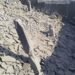 Photos suggest US bombs damaged drinking water tanks in Iran