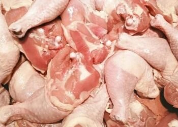 AHV veterinary inspectors returned 23.6 tons of chicken from Brazil