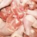 AHV veterinary inspectors returned 23.6 tons of chicken from Brazil