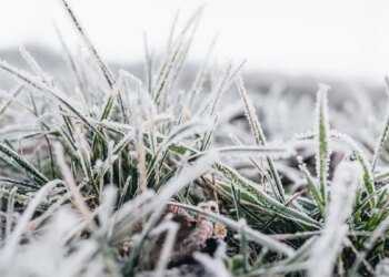 Frost, cold and possible snowfall: what meteorologists predict for this winter in Uruguay