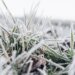 Frost, cold and possible snowfall: what meteorologists predict for this winter in Uruguay