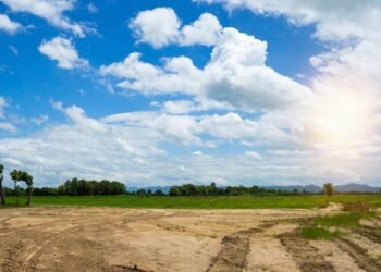 You may own land and not even know it. Land Fund publishes list that can reveal ancestral property – Consumer – Useful truth