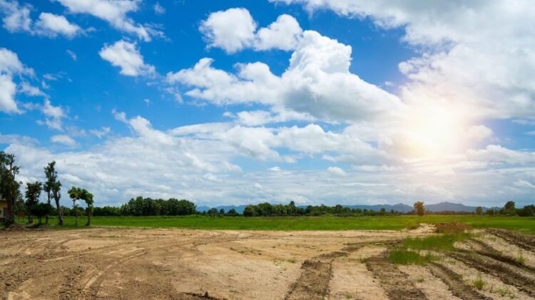 You may own land and not even know it. Land Fund publishes list that can reveal ancestral property – Consumer – Useful truth