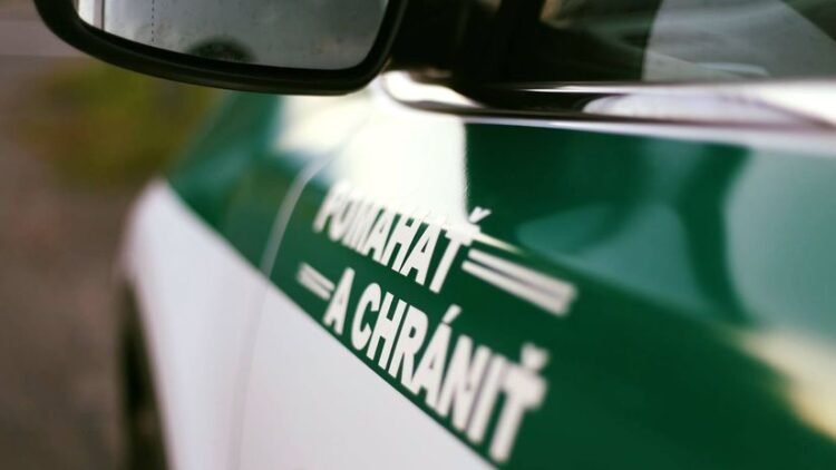 Tragedy on Považí. The man was killed by a lawnmower